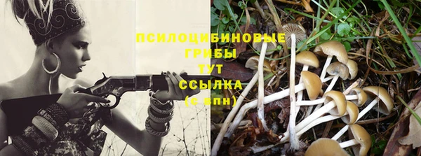 не бодяженный Армянск
