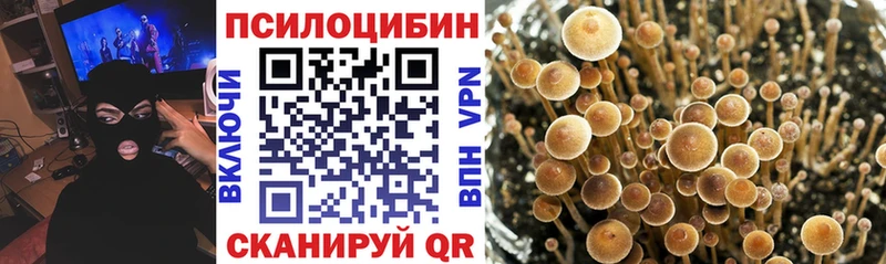 гидра рабочий сайт  Отрадный  Галлюциногенные грибы прущие грибы 